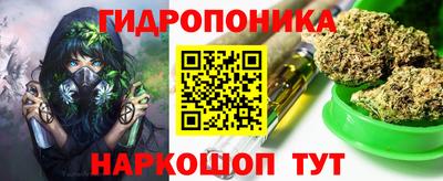 прущие грибы Сланцы